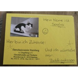 Sascha wünscht sich...