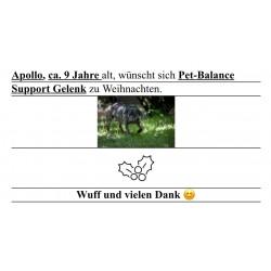 Apollo wünscht sich Pet...