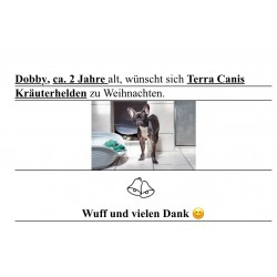 Dobby wünscht sich Terra...