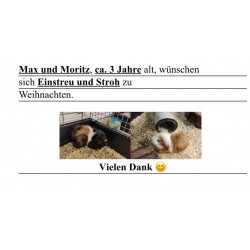 Max und Moritz wünschen...