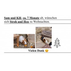 Sam und Kili wünschen sich...