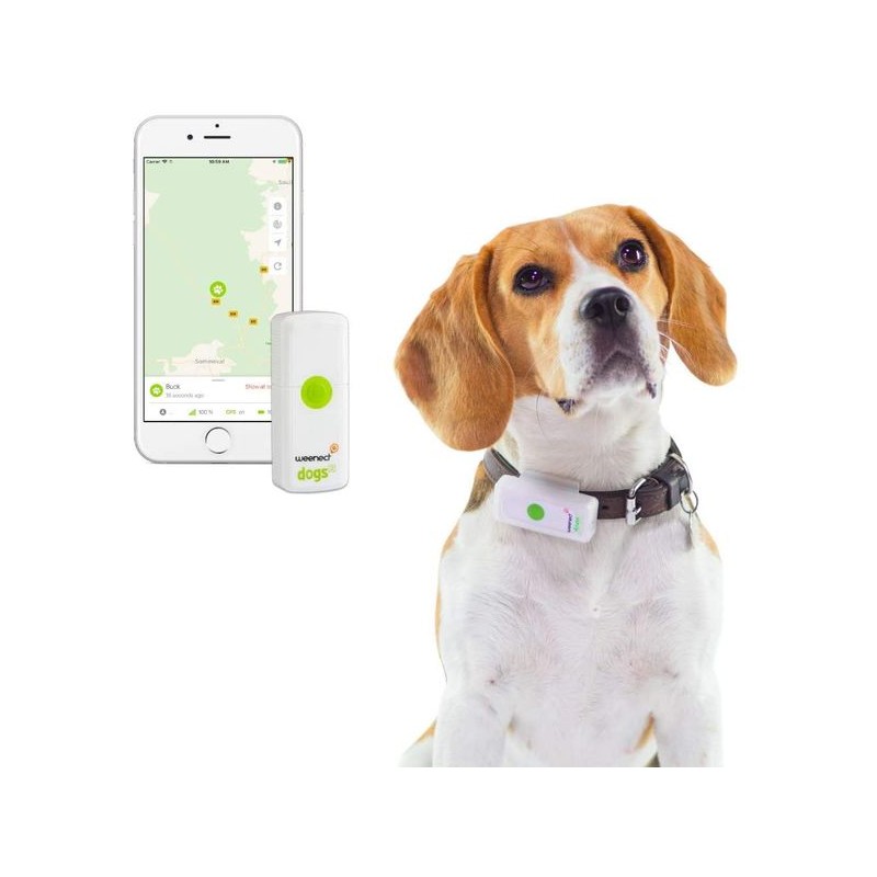 Overfrakke offentlig minus Weenect Dog GPS Tracker für Hunde