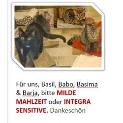 Basil, Babo, Basima und...